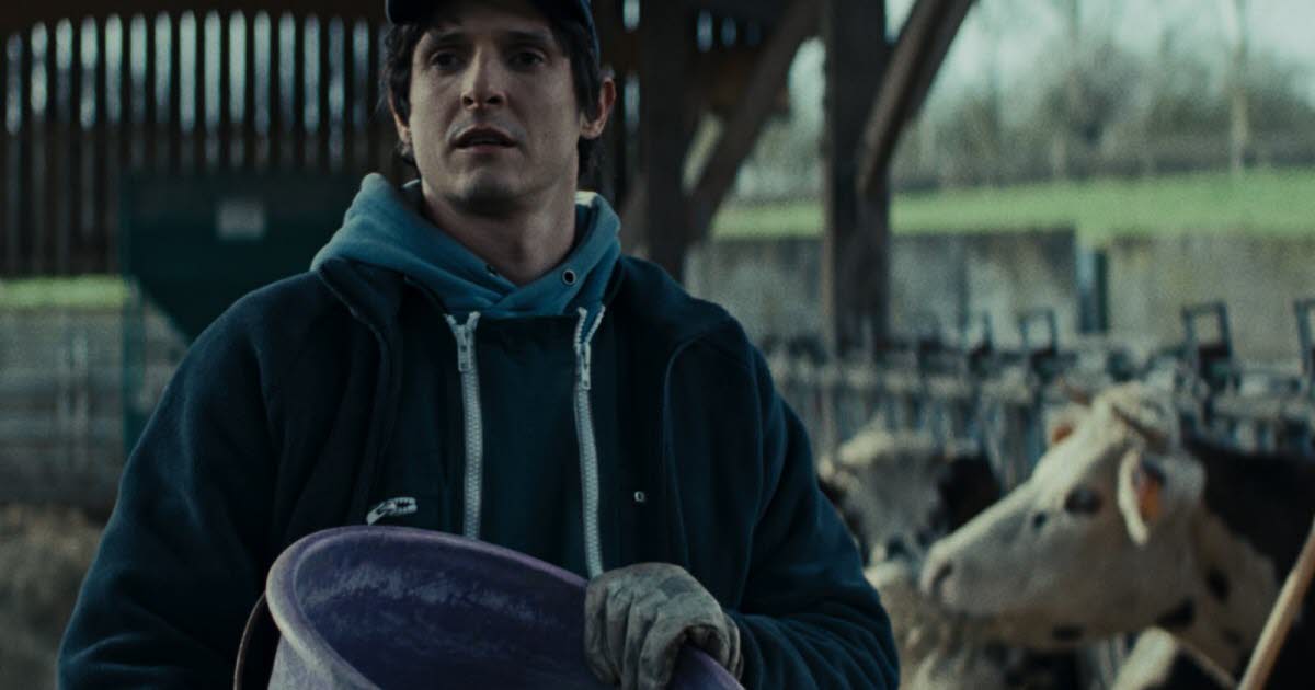 La Guerre des Prix: Unveiling Retail's Brutal Impact on Farmers